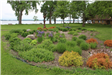 CIRCLE PARK RAIN GARDEN
