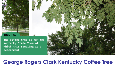 George Rogers Clark Kentucky Coffee_thumb.png