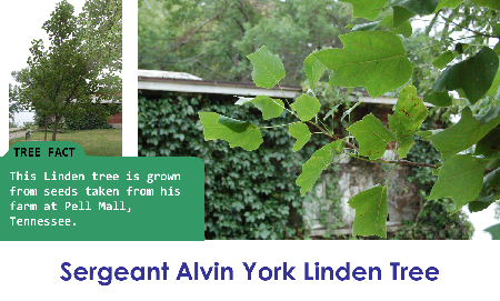 Sergeant Alvin York Linden_thumb.png