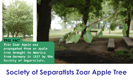 society of Separatists Zoar Apple_thumb.png