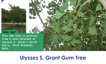 Ulysses S. Grant Gum_thumb.png