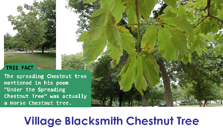 Village Blacksmith Chestnut Tree_thumb.png