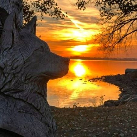 Wood carving with sunset background