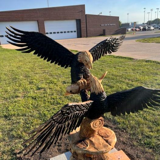 Eagles Fighting for Fish