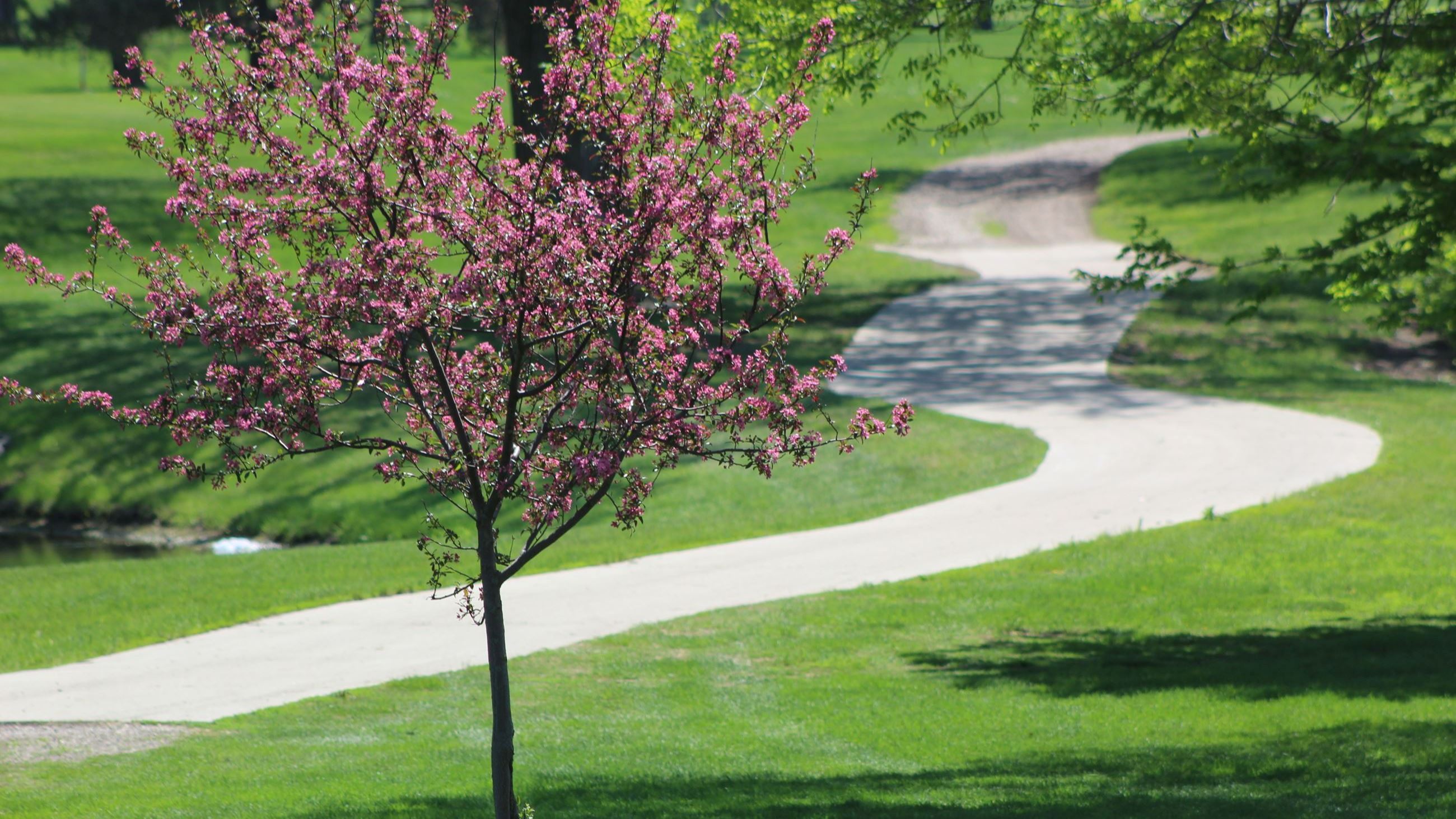 Park System with Bike Path 